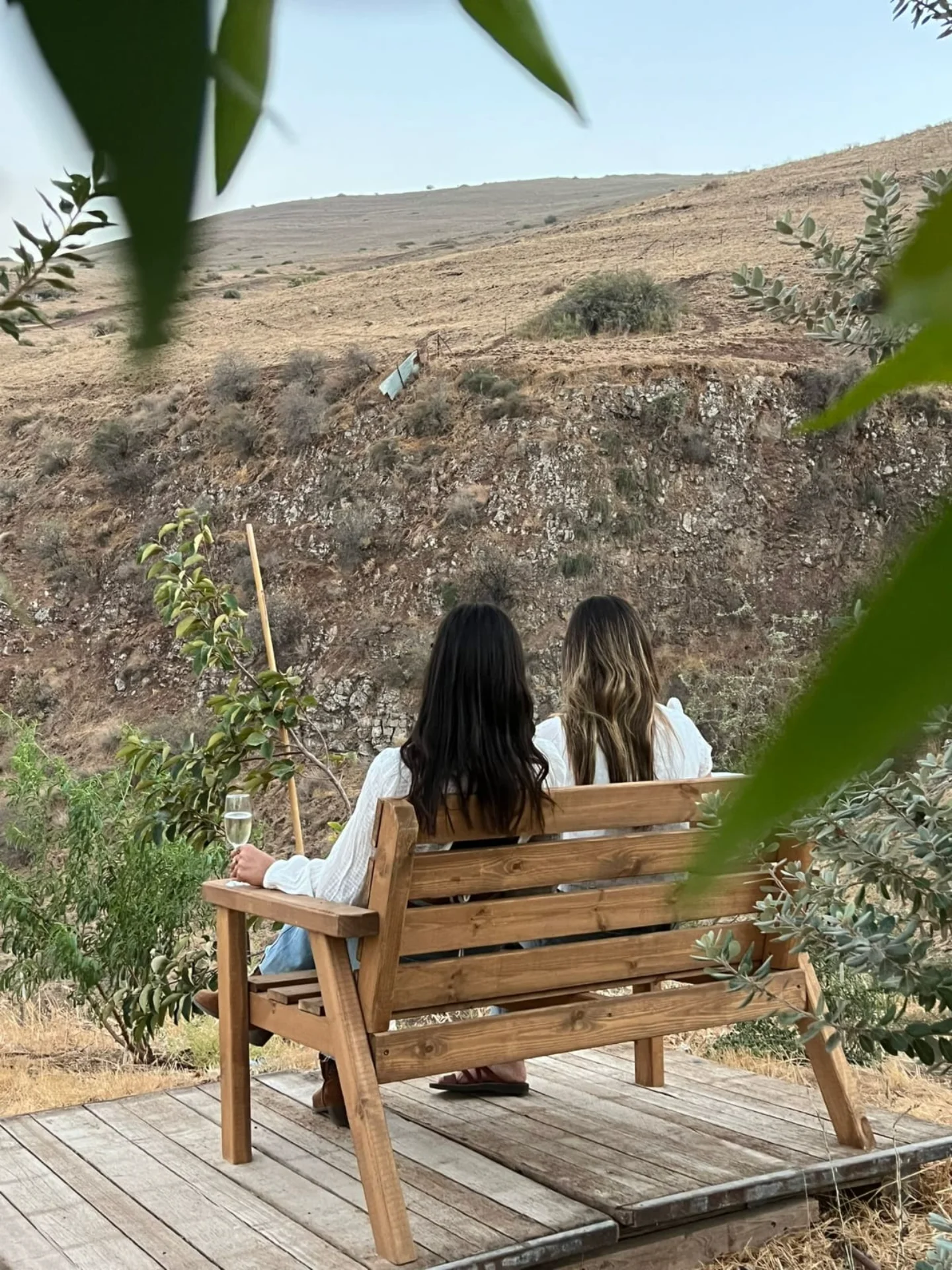 אווירה טבעית בבוסתן רפאל